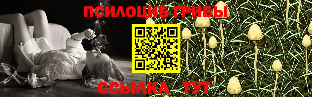 Псилоцибиновые грибы мухоморы Новый Уренгой