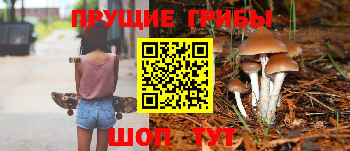 Псилоцибиновые грибы мицелий  Псилоцибиновые грибы мицелий  Новый Уренгой  Вход с VPN 